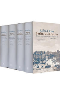 Berlin wird Berlin : Briefe aus der Reichshauptstadt 1897-1922. Band 4. 1917-1922